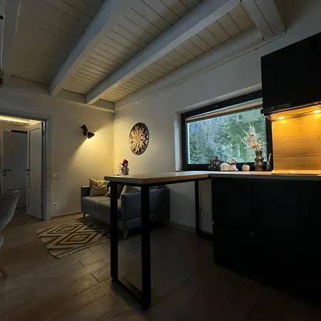 River Rest Slavske Exterior photo